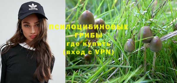 a pvp Богородицк